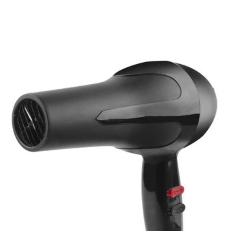 0386 1500 Watts Professional Hair Dryer 2888 (Black)