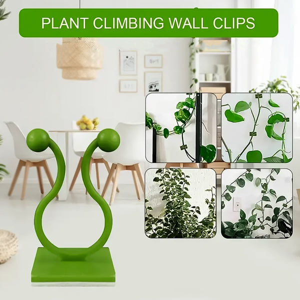 Plant Climbing Wall Fixture Clip Self-adhesive Hook (100 Pcs Set)