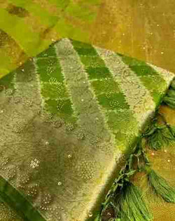 Banglore Kora organza silk saree