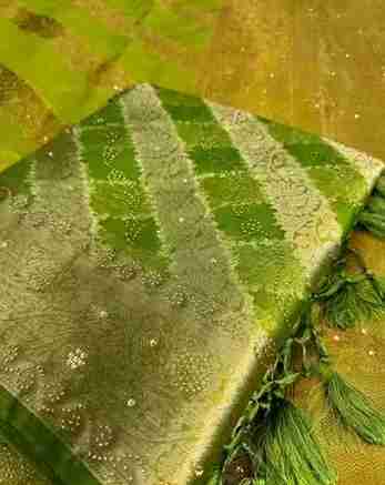 Banglore Kora organza silk saree