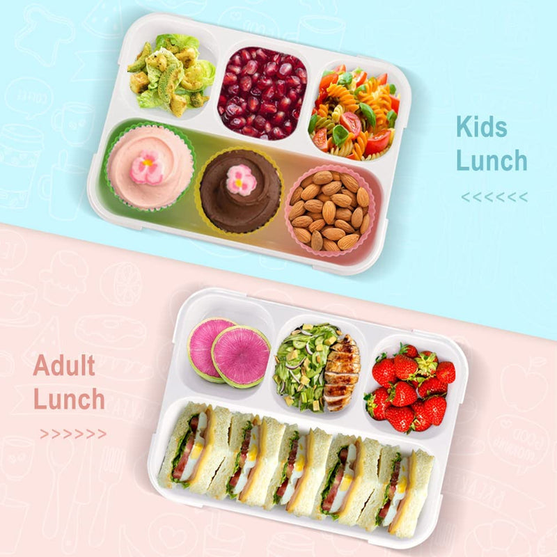 5212 Lunch Box 4 Compartment With Leak Proof Lunch Box For School  Office Use