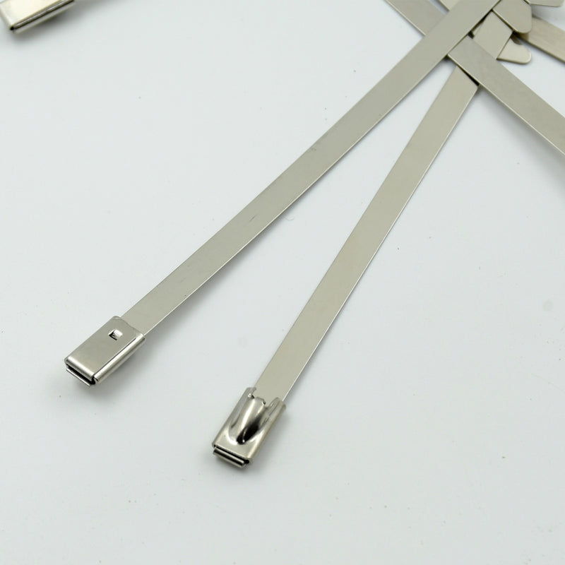 Multipurpose Stainless Steel Cable Tie (10 Pcs Set  4.6x200mm)